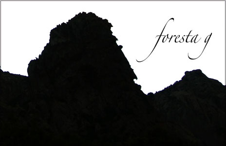 fg
